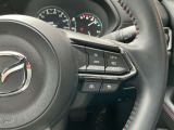 レーダークルーズ機能で前方の車両に一定の距離を開けて追従し、ブレーキも自動でかかります。