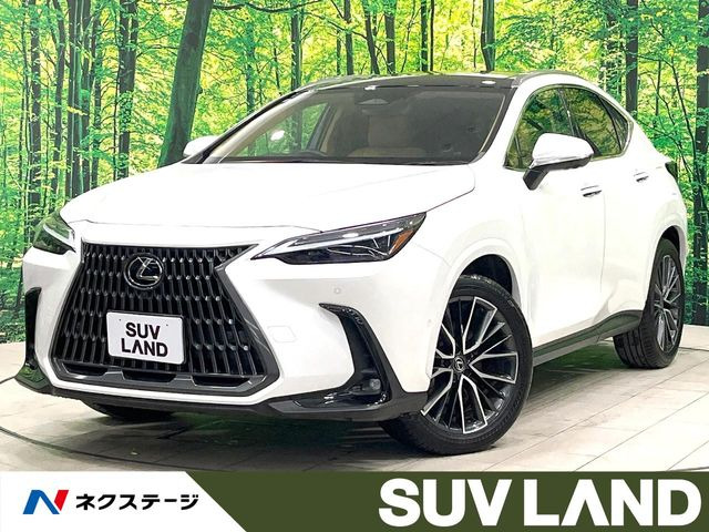 NX 350h バージョンL 