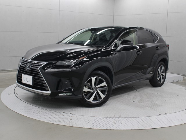 NX 300h バージョンL