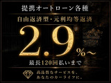 シビックタイプR 2.0 レーシング ブラックパッケージ 