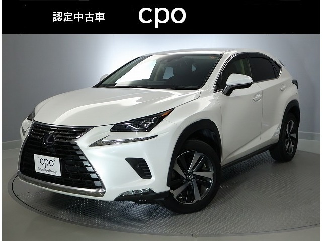 NX 300h Iパッケージ 