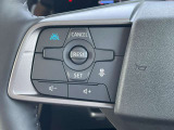 これが噂のプロパイロット♪運転支援システムではありますがハンドルは優しく手を添えていてください♪