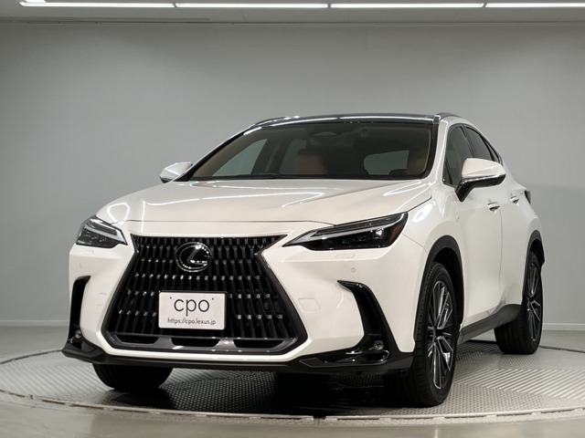 NX 250 バージョンL NX 250 バージョンL