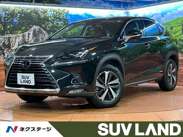 NX 300h Iパッケージ