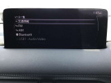 オーディオソースはこの様になっています。