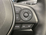 前方の車との車間を設定し、スピードを上げたり緩めたりを自動で行ってくれる追尾式の「レーダークルーズ」。上級装備の一つです!高級車にしかつかない嬉しい機能です。