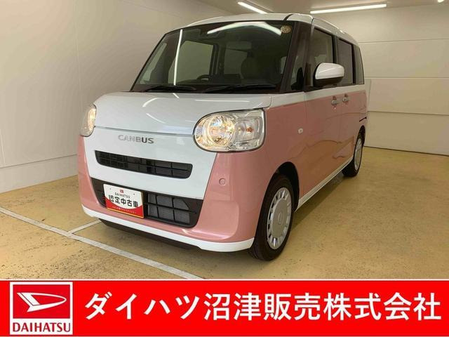 ムーヴキャンバス  ストライプス X