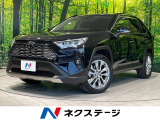 衝突軽減 電動リアゲート レーダークルーズ 全周囲カメラ