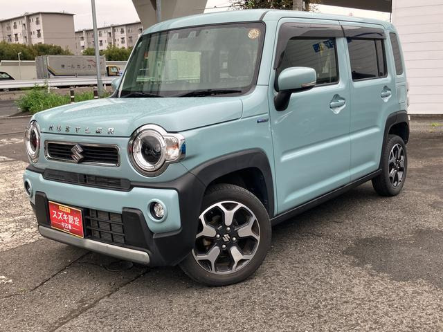 ハスラー X 
