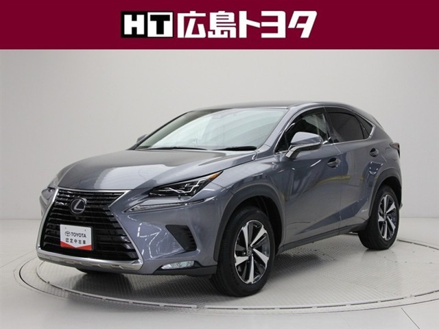 NX 300h バージョンL