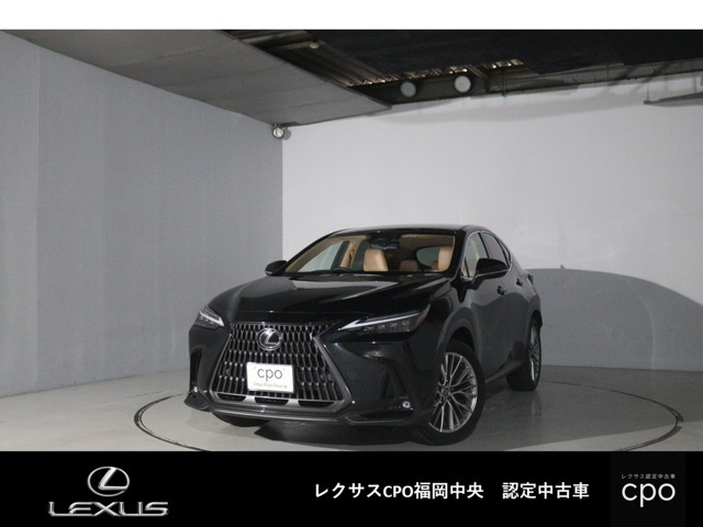 NX 250 バージョンL NX 250 バージョンL