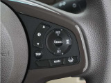 ◆アダプティブクルーズコントロール◆予め設定した車速内でクルマが自動的に加減速。前走車との適切な車間距離を維持しながら追従走行します。【LKAS】車線維持支援システムでステアリング操作を支援。