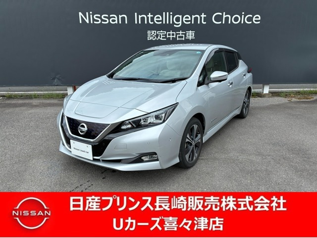 リーフ G
