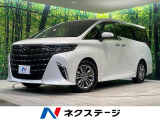 ガラスルーフ 純正14型ナビ 後席モニター 全周囲カメラ