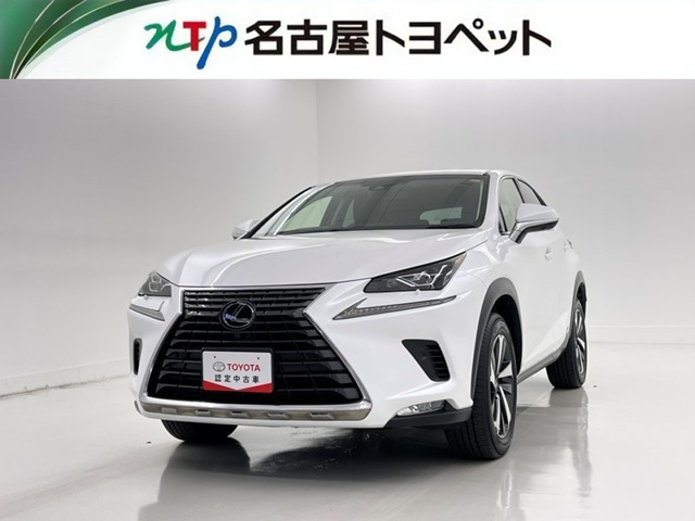 NX 300h Iパッケージ