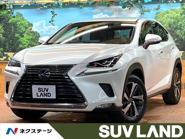 NX 300h Iパッケージ
