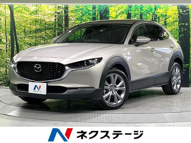 CX-30 2.0 20S プロアクティブ 