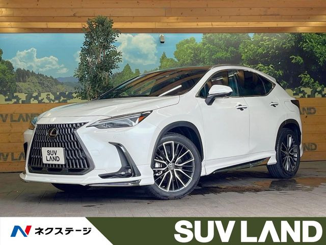 NX 250 バージョンL 