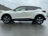 ひょうの衝突を受けボディが凹みました、それを修理した車両です(40万)