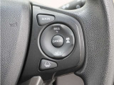 ◆アダプティブクルーズコントロール◆予め設定した車速内でクルマが自動的に加減速。前走車との適切な車間距離を維持しながら追従走行します。【LKAS】車線維持支援システムでステアリング操作を支援。