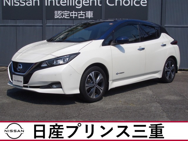 リーフ G