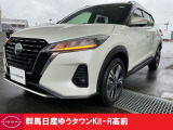 ひょうの衝突を受けボディが凹みました、それを修理した車両です(40万)