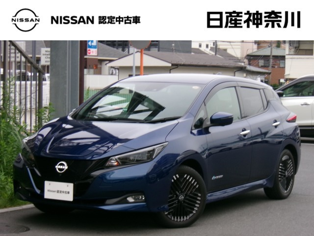 リーフ G