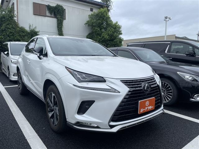 NX 300 スパイス&シック 禁煙車 三眼LEDヘッドライト ブラインド