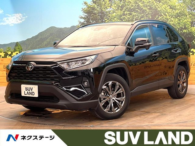 RAV4 2.0 X 