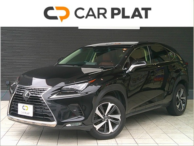 NX 200t Iパッケージ