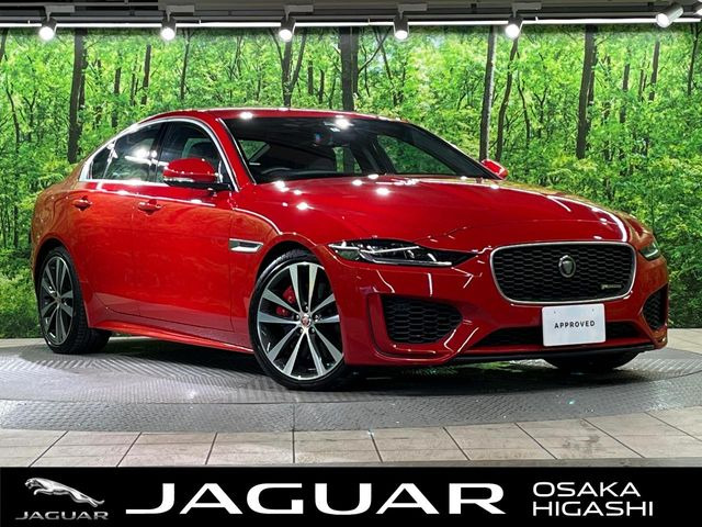 XE  R-ダイナミックSE