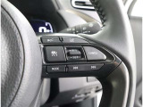 《クルーズコントロール》高速道路でアクセル操作なしでも車が自動でスピードを保ってくれる機能です。操作さえ覚えてしまえば、長距離の高速は楽々走れます!