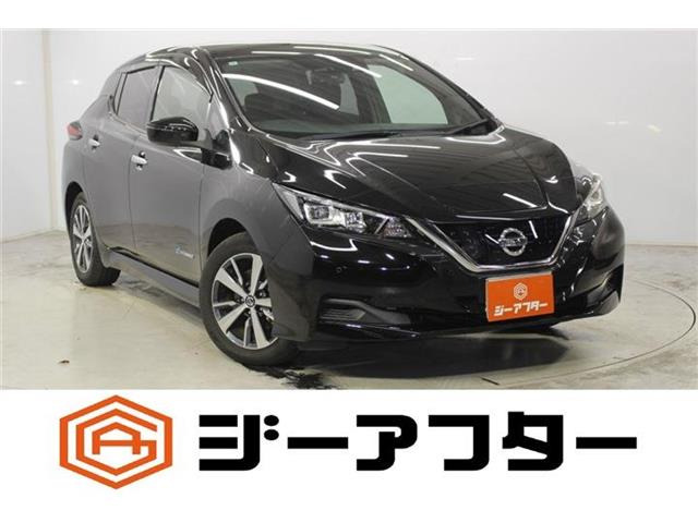リーフ X 禁煙車 純正ナビ フルセグ