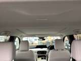 綺麗な車両です