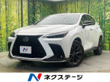 サンルーフ 全周囲カメラ マークレビンソンサウンド 100V電源