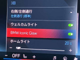 人気のアイコニックグロー!