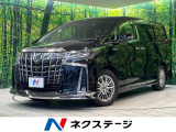 モデリスタエアロ BIG-X11型ナビ 後席モニター 全周囲カメラ