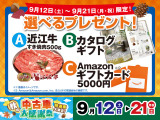エスクァイア 2.0 Gi プレミアムパッケージ ブラックテイラード 
