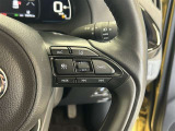 前方の車との車間を設定し、スピードを上げたり緩めたりを自動で行ってくれる追尾式の「レーダークルーズ」。上級装備の一つです!高級車にしかつかない嬉しい機能です。