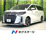 両側電動ドア メーカー9型ナビ 後席モニター バックカメラ 100V電源