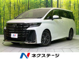 純正14型ナビ 全周囲カメラ 100V電源 衝突軽減 レーダークルーズ