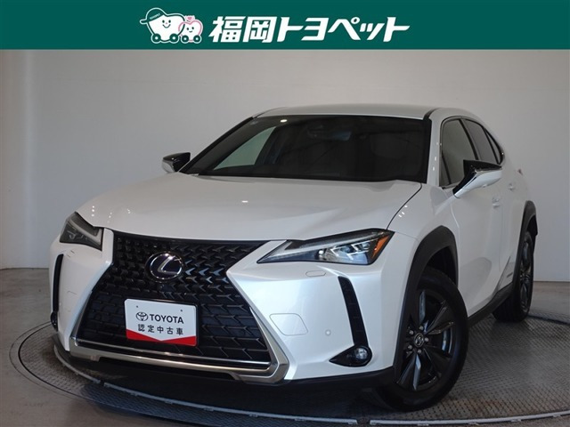 UX 250h バージョンC
