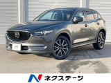 マツダコネクトナビ 全周囲カメラ レーダー追尾クルーズコントロール パワ