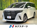 ガラスルーフ 両側電動ドア 後席モニター 全周囲カメラ 100V電源