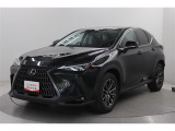 NX250 ヒョウジュンシャが入庫しました。