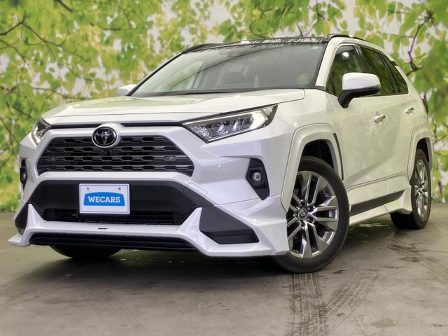 RAV4 2.0 G Zパッケージ 4WD 