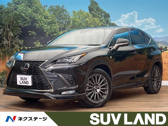 NX 300h Fスポーツ