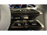 ドアハンドルには握りやすいグリップ形状が採用されています。万一の事故の際など、車内に残された乗員を救出する為、外部からドアを開けやすいようになっています。