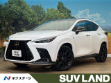 パノラマルーフ 全周囲カメラ ブラインドスポットモニター 禁煙車 ETC