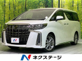 レーダークルーズ 両側電動ドア 衝突軽減 電動リアゲート 100V電源